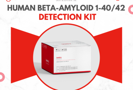 Kit Xét Nghiệm Human Beta-Amyloid 1-40 & 1-42 (Digital Immunochip) | Sàng Lọc Alzheimer Sớm